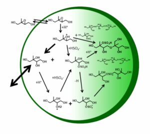 Hypothetical schematic of IEPOX reactive uptake and particle-phase processes.