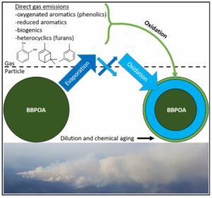 Schematic of wildfire smoke particle evolution